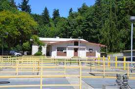 Miller Creek Building